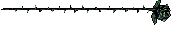 Collection Image 1